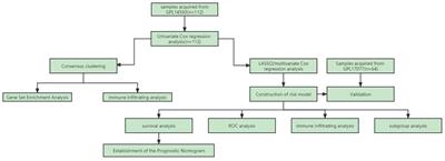 Fatty acid metabolism-related genes in bronchoalveolar lavage fluid unveil prognostic and immune infiltration in idiopathic pulmonary fibrosis